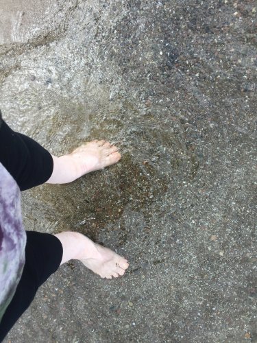 dipping my toes in Lake Ontario